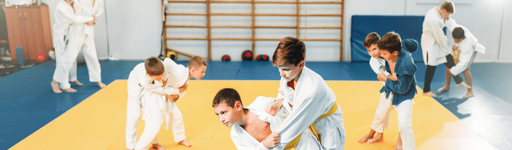 Judo Classes For Your Kids Near Dundas hero background