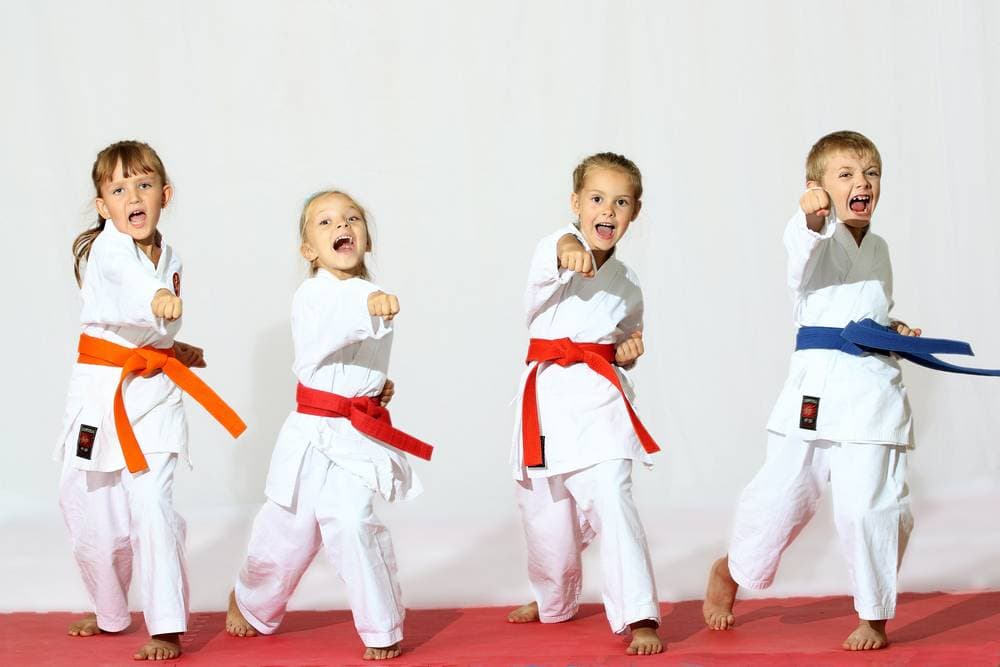 Kids in a martial arts class