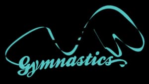 Le Ray Gymnastics