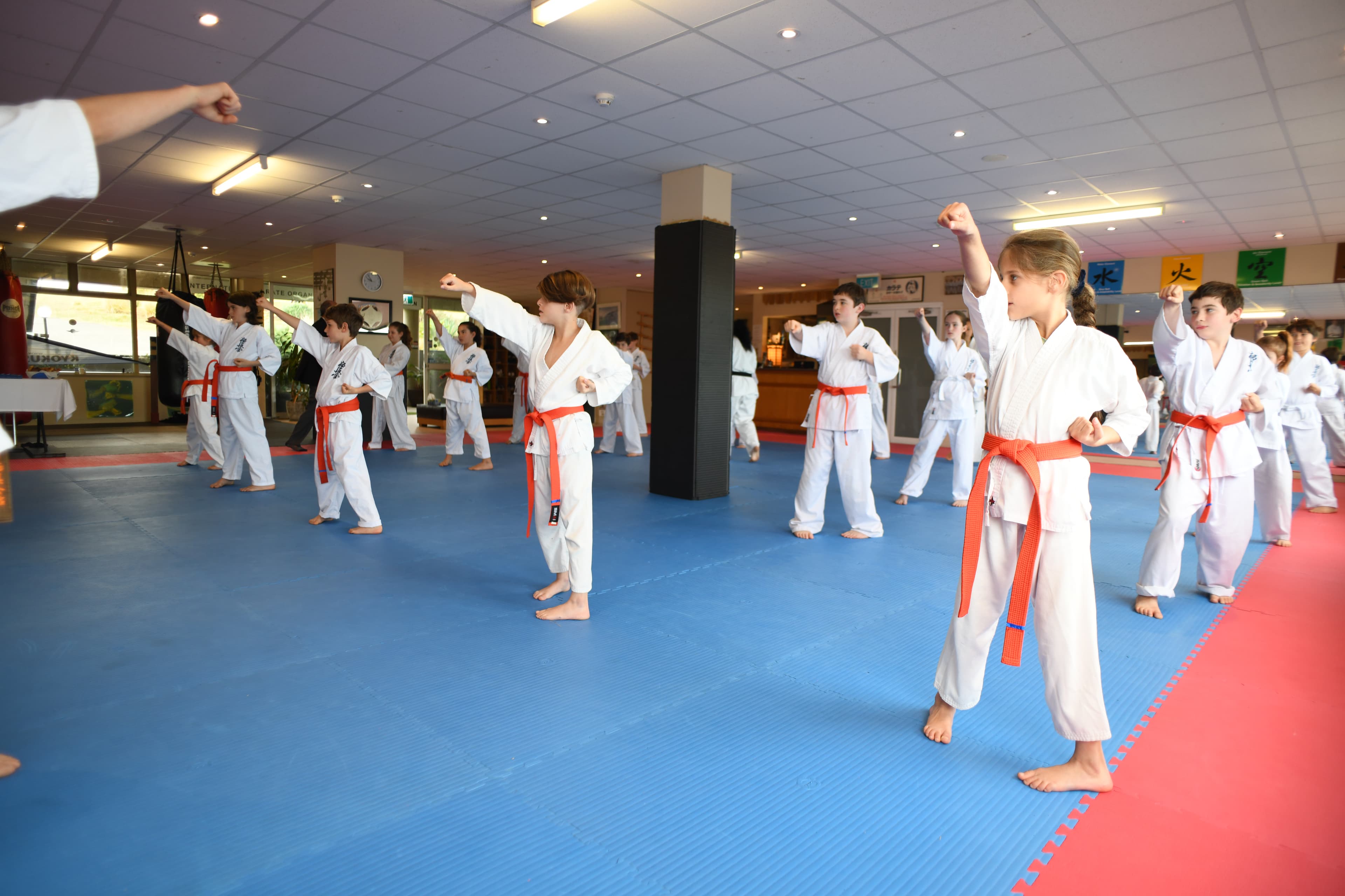 Kyokushin Karate North Bondi Logo on Kidsbook