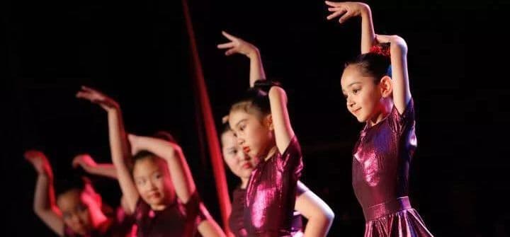Sydney idance Studio (Epping) Logo on Kidsbook