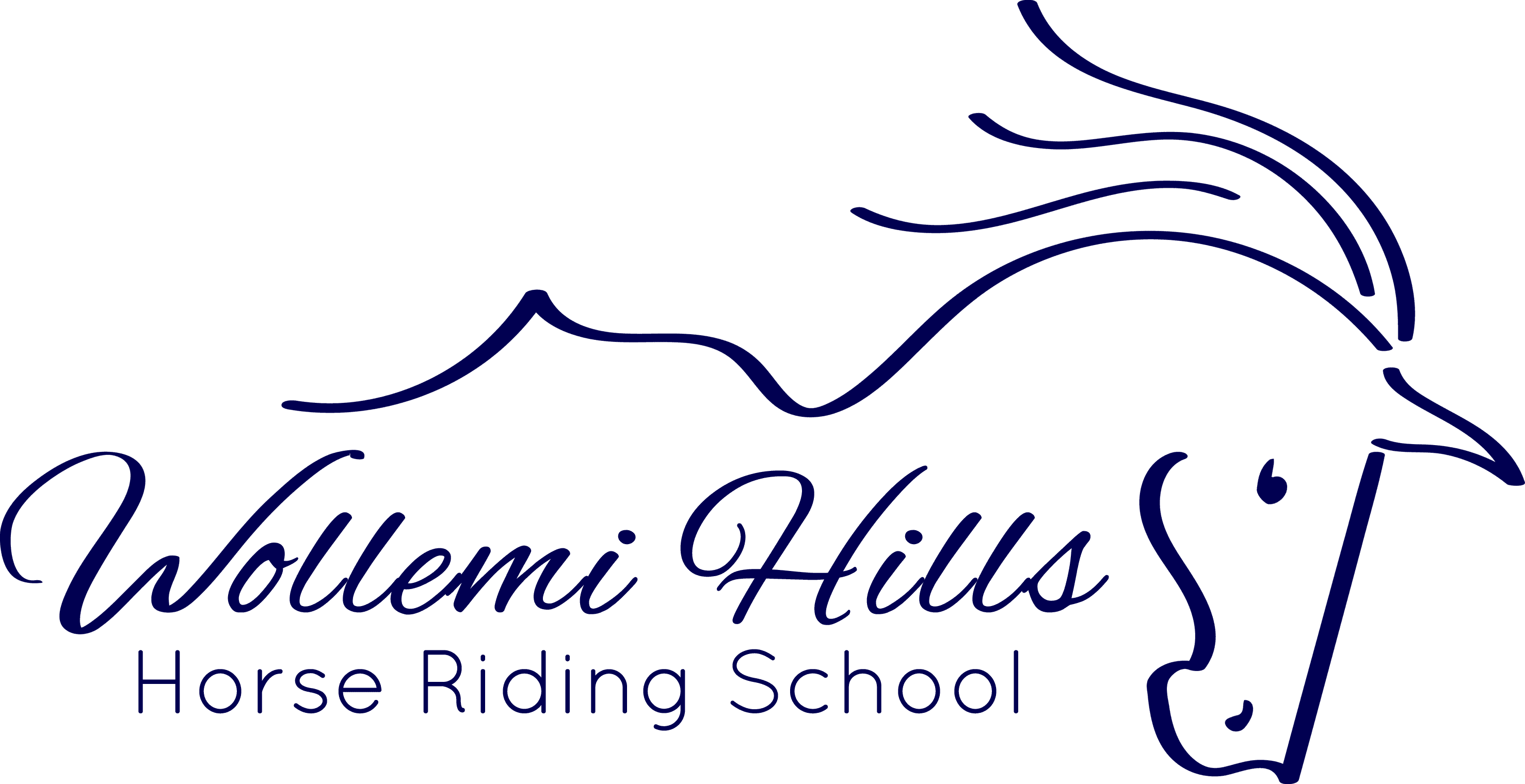 Wollemi Hills Horse Riding School