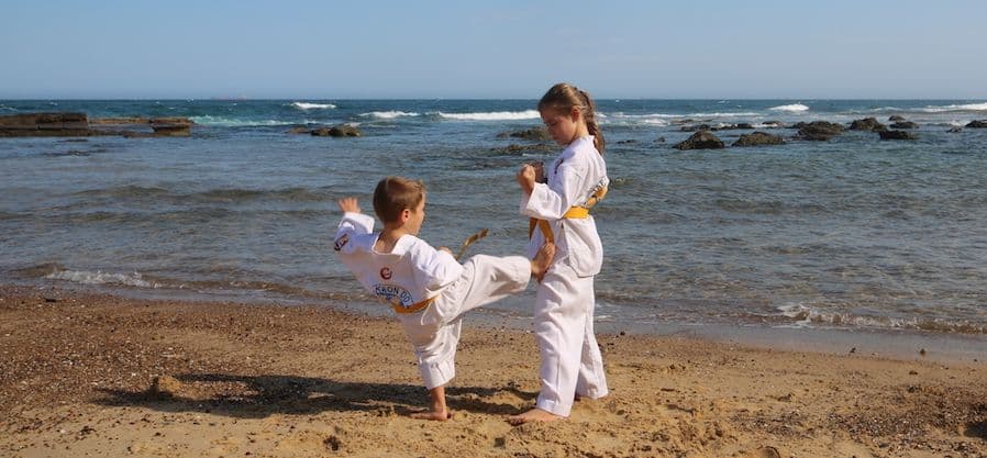 Universal Tae Kwon Do Academy Logo on Kidsbook