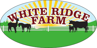 White Ridge Farm