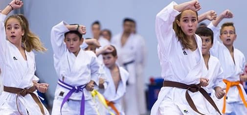Kimekai Karate Dojo
