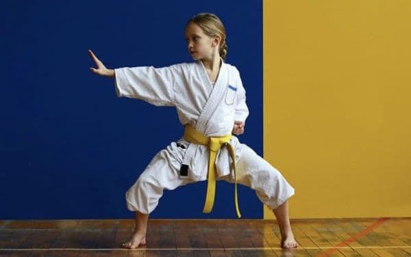 Northern Shukokai Karate (Melbourne Martial Arts Clubs)