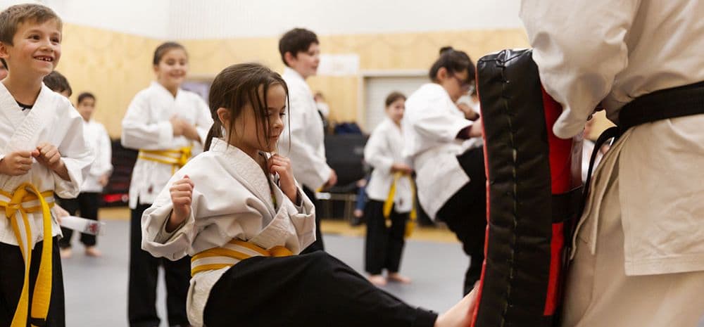 Academy of Self-defence & Martial Arts Logo on Kidsbook