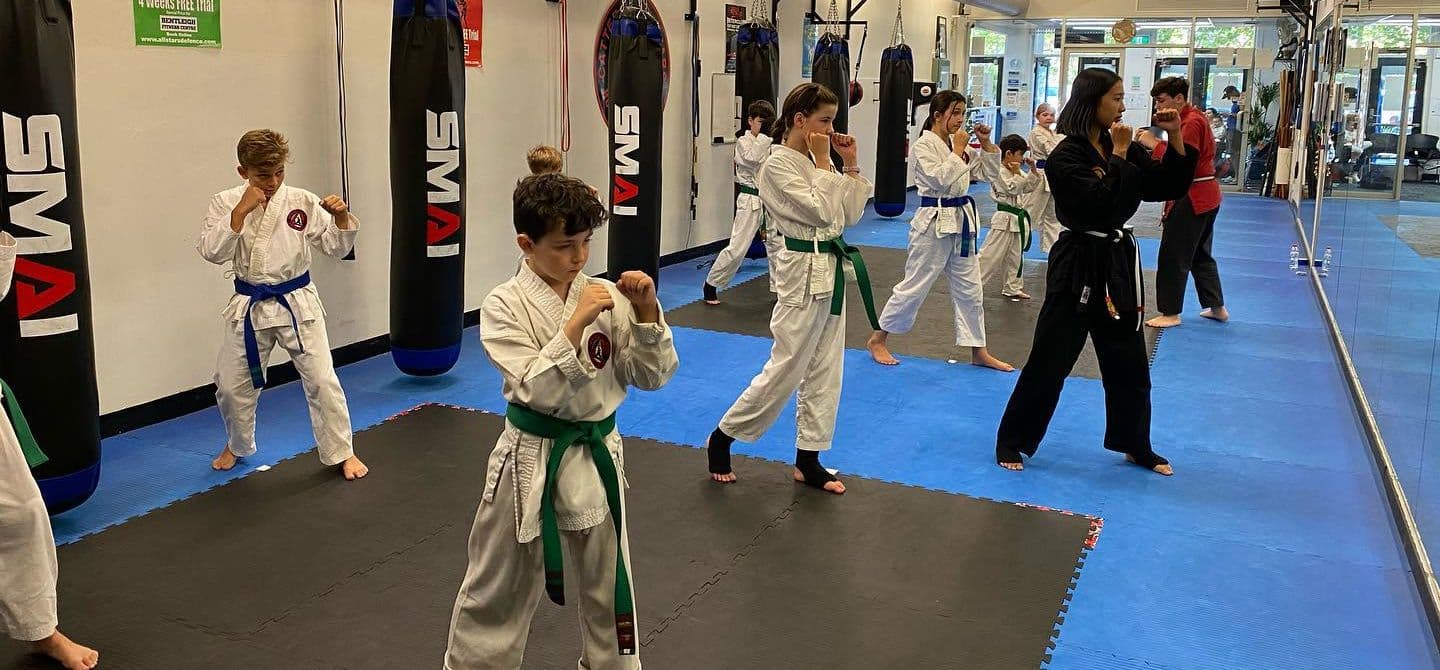 All Stars Martial Arts Academy - Bentleigh East Logo on Kidsbook
