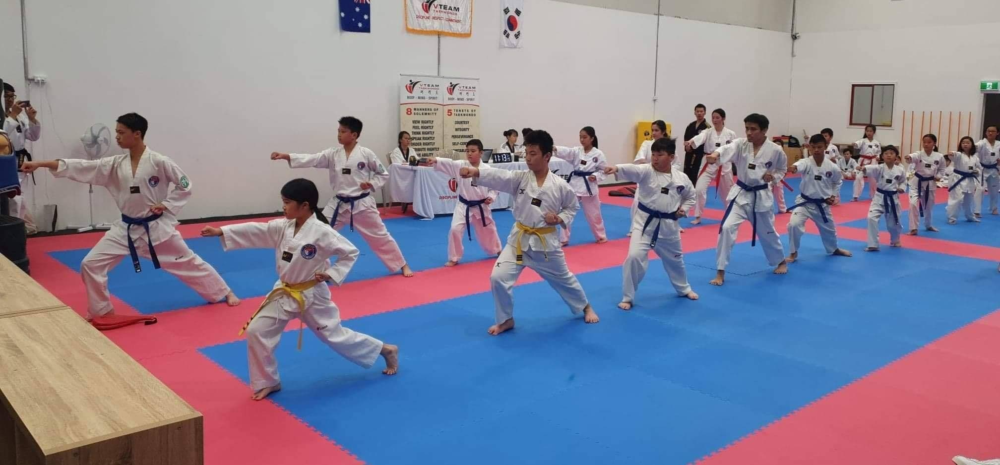 VTEAM Taekwondo - Maidstone Logo on Kidsbook