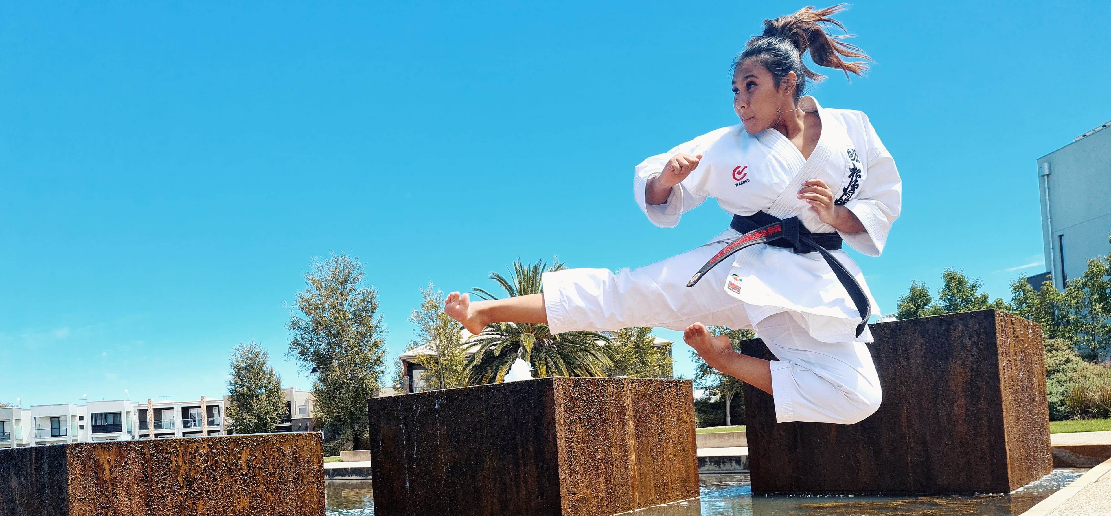 Shugoki Karate Academy Logo on Kidsbook