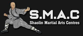 Shaolin Martial Arts Centres Logo on Kidsbook
