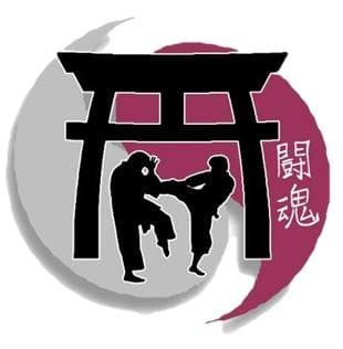 Combined Martial Arts Academy Logo on Kidsbook