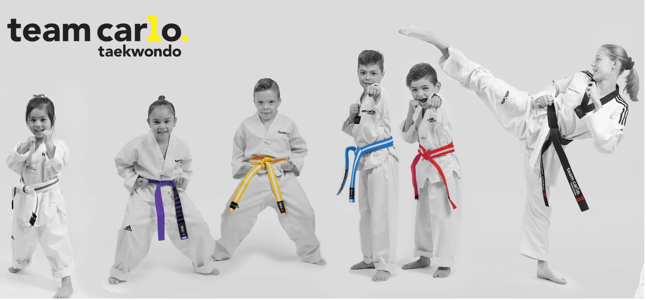 Team Carlo Taekwondo Logo on Kidsbook