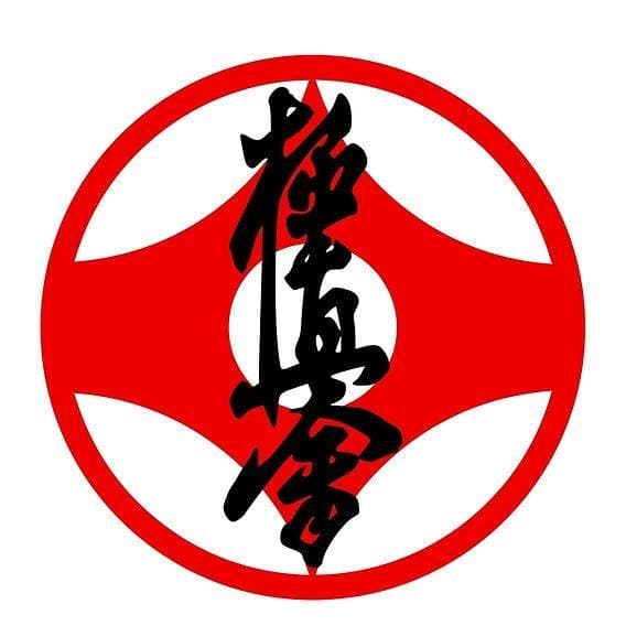 Tamborine Mountain Martial Arts Logo on Kidsbook