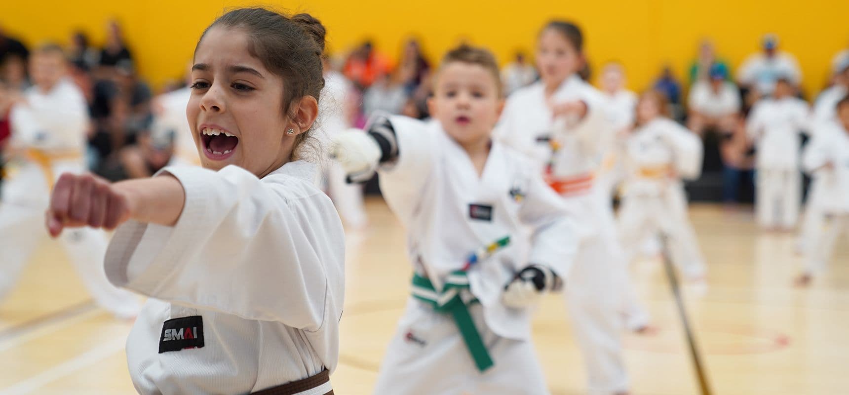 Martial Arts Spirit Mount Annan, Prestons & Rooty Hill Logo on Kidsbook