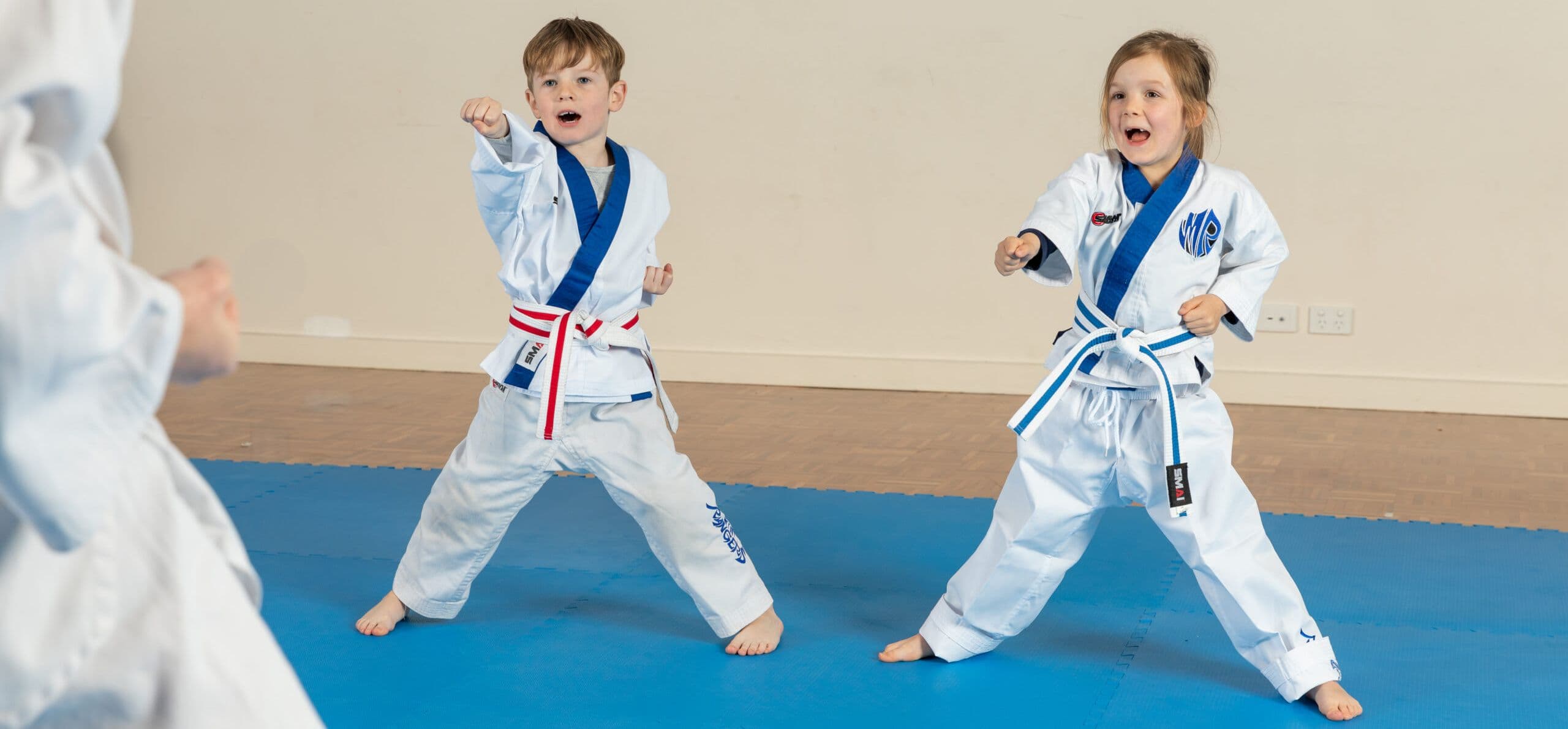 Horizon Taekwondo - Adelaide Logo on Kidsbook