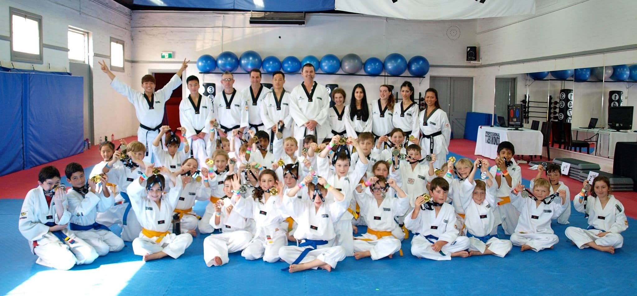 Professional Taekwondo & Boxing Logo on Kidsbook