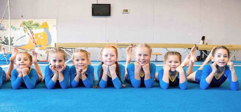Dolphin Gymnastics Logo on Kidsbook