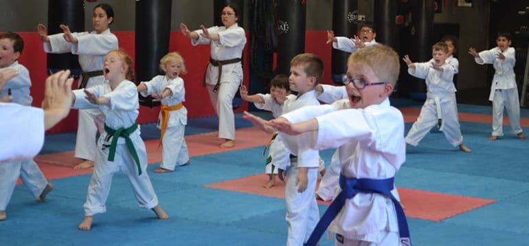 Pollet's Martial Arts Centre Penrith Logo on Kidsbook