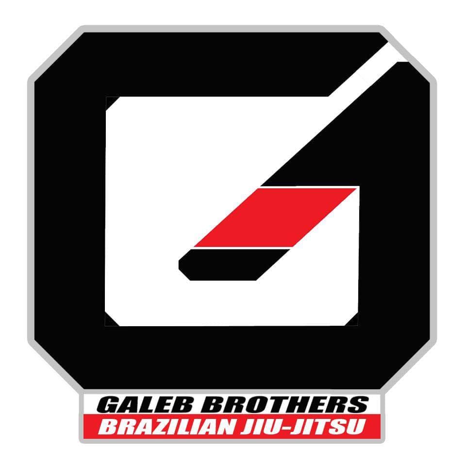 Galeb Brothers BJJ Holland Park West Logo on Kidsbook