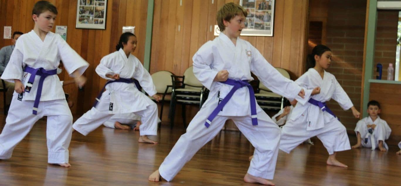 Maya Karate Academy Logo on Kidsbook