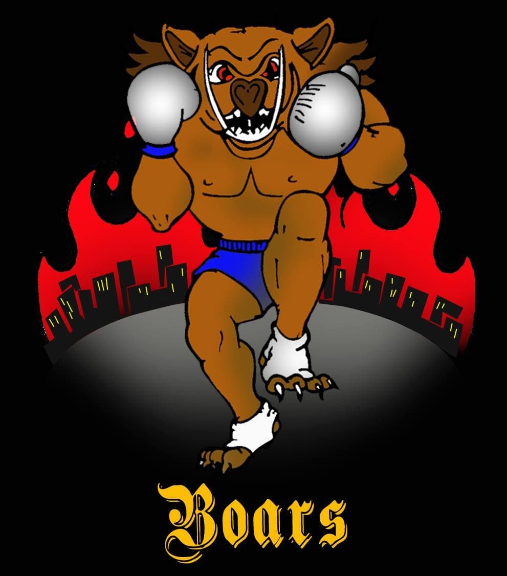 Boars Martial Arts Logo on Kidsbook