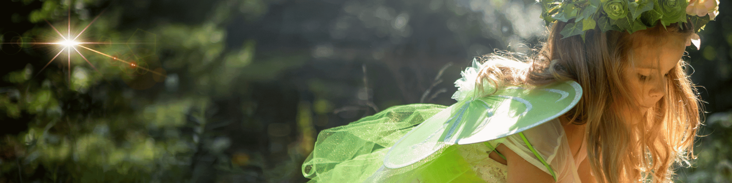 Find activity providers hero background