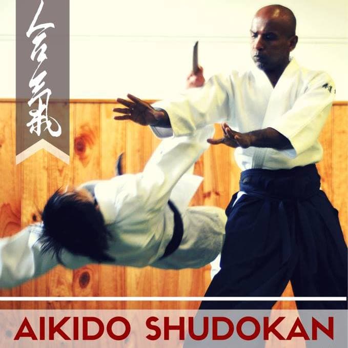 Aikido Shudokan Logo on Kidsbook