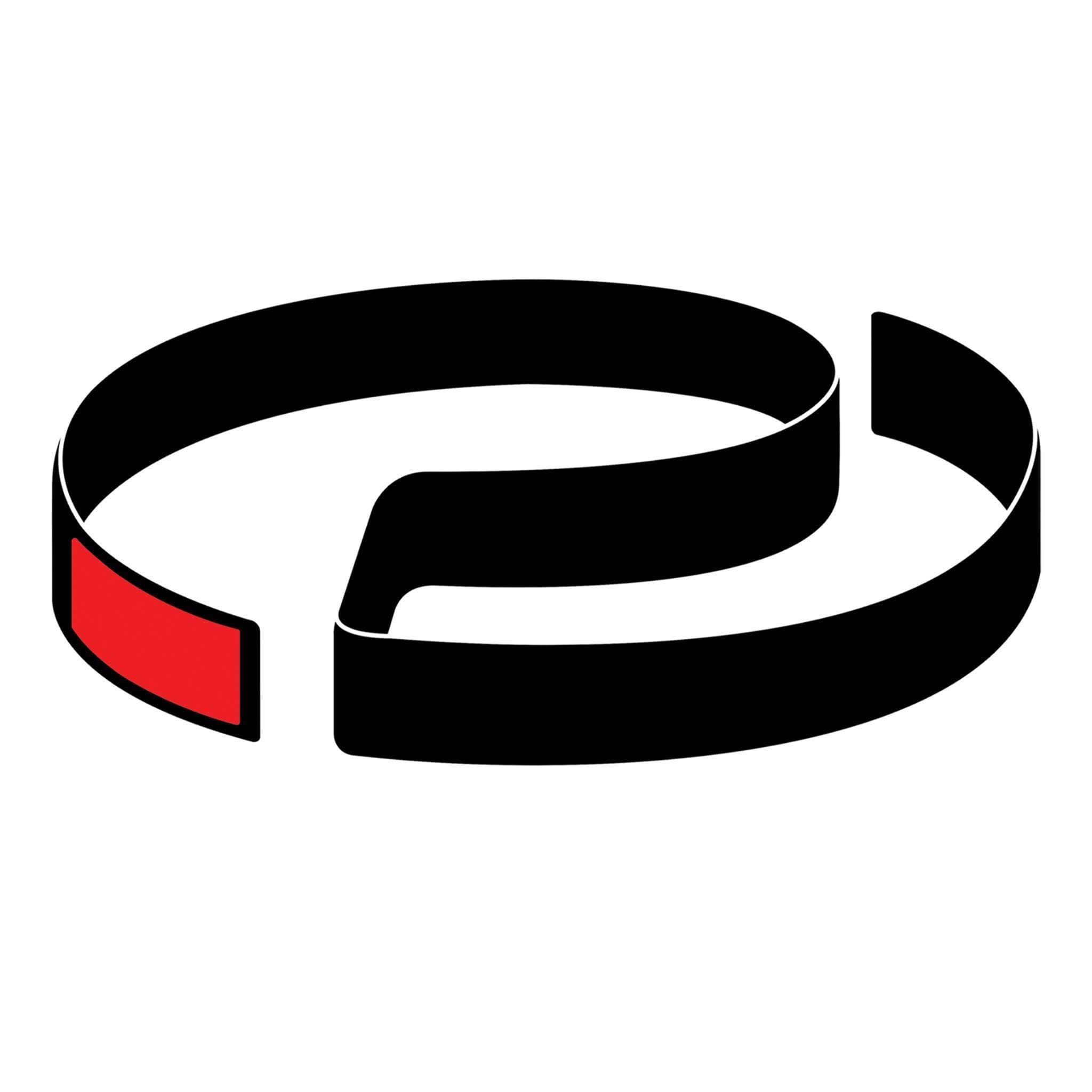 Perth Martial Arts Academy Logo on Kidsbook