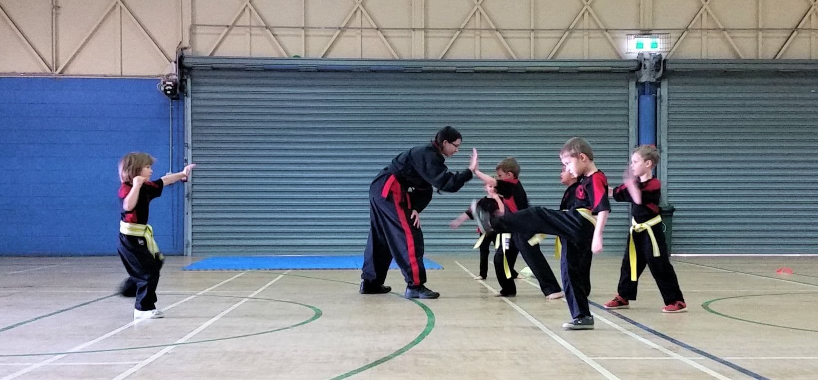 Phoenix Arts Martial Arts Logo on Kidsbook