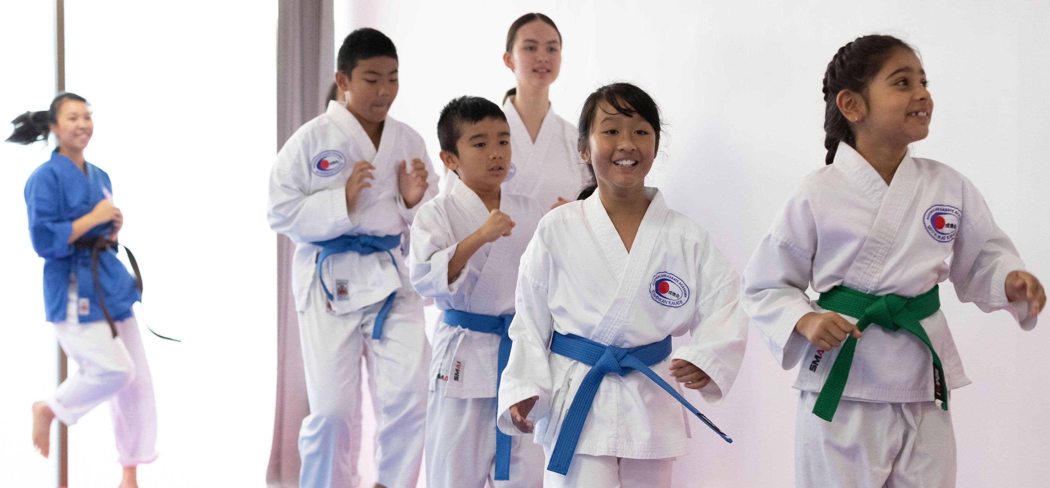 Australian Karate Academy (Sydney) Logo on Kidsbook