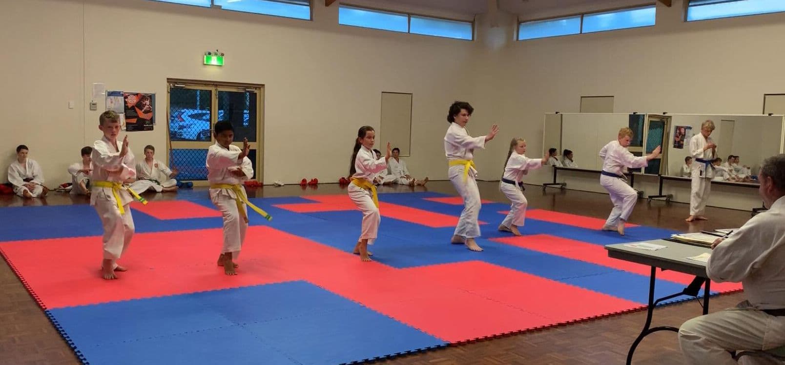 Traditional Karate Academy Logo on Kidsbook