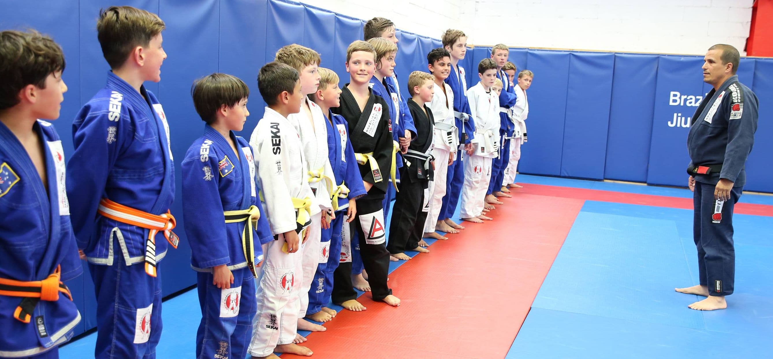 Ortiz Martial Arts Academy Logo on Kidsbook