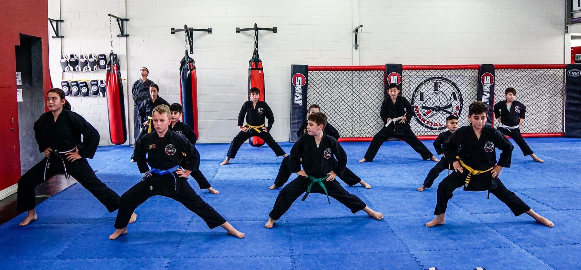 IFA Martial Arts Logo on Kidsbook