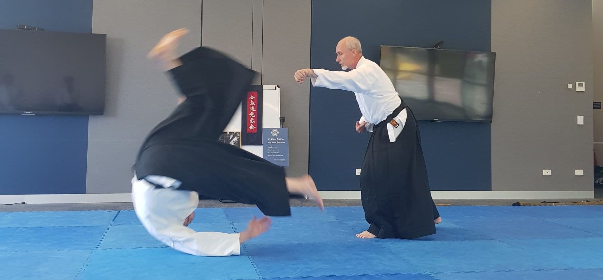 Aikido Kokikai Australia Logo on Kidsbook