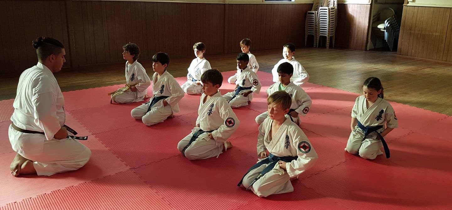 Dulwich Hill Kyokushin Karate Club Logo on Kidsbook