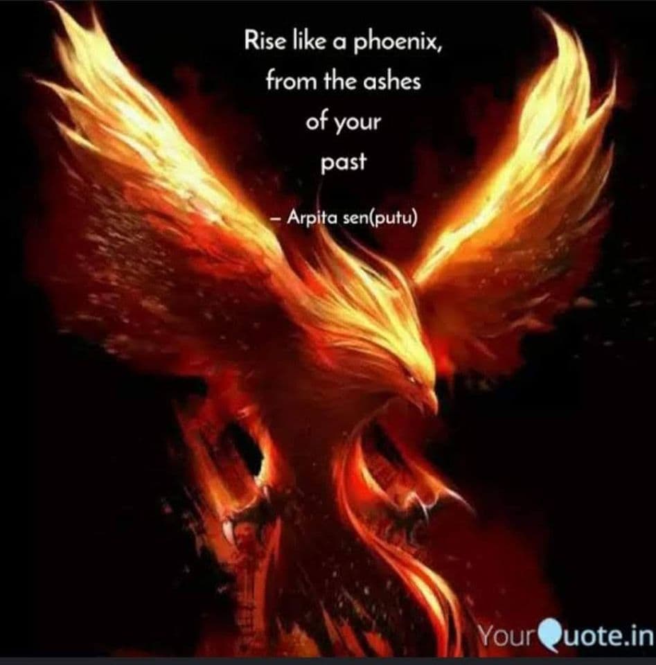 Phoenix Dojos - Whyalla Logo on Kidsbook