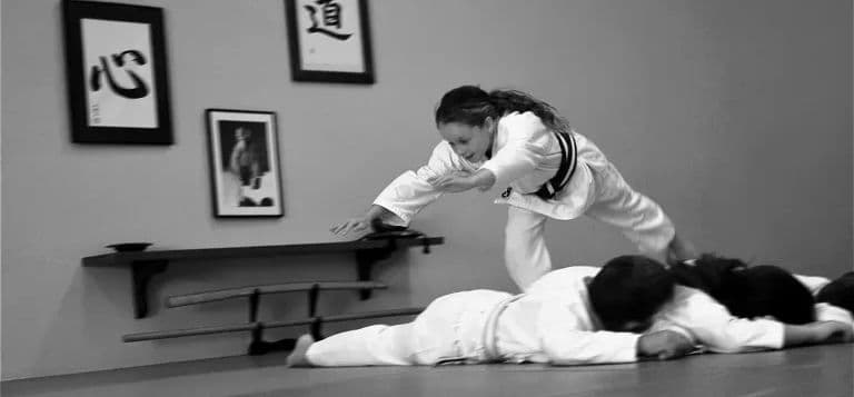 Aikido Port Kennedy Logo on Kidsbook