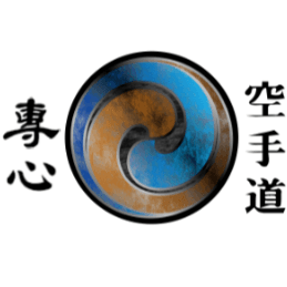 Senshinkan Karate Logo on Kidsbook