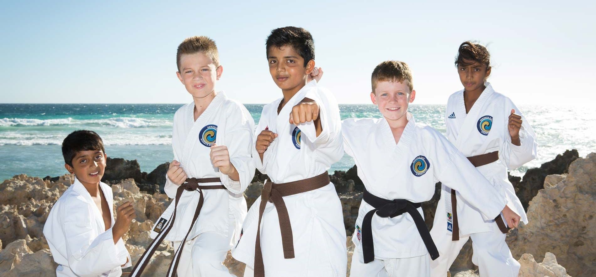 Senshinkan Karate Logo on Kidsbook