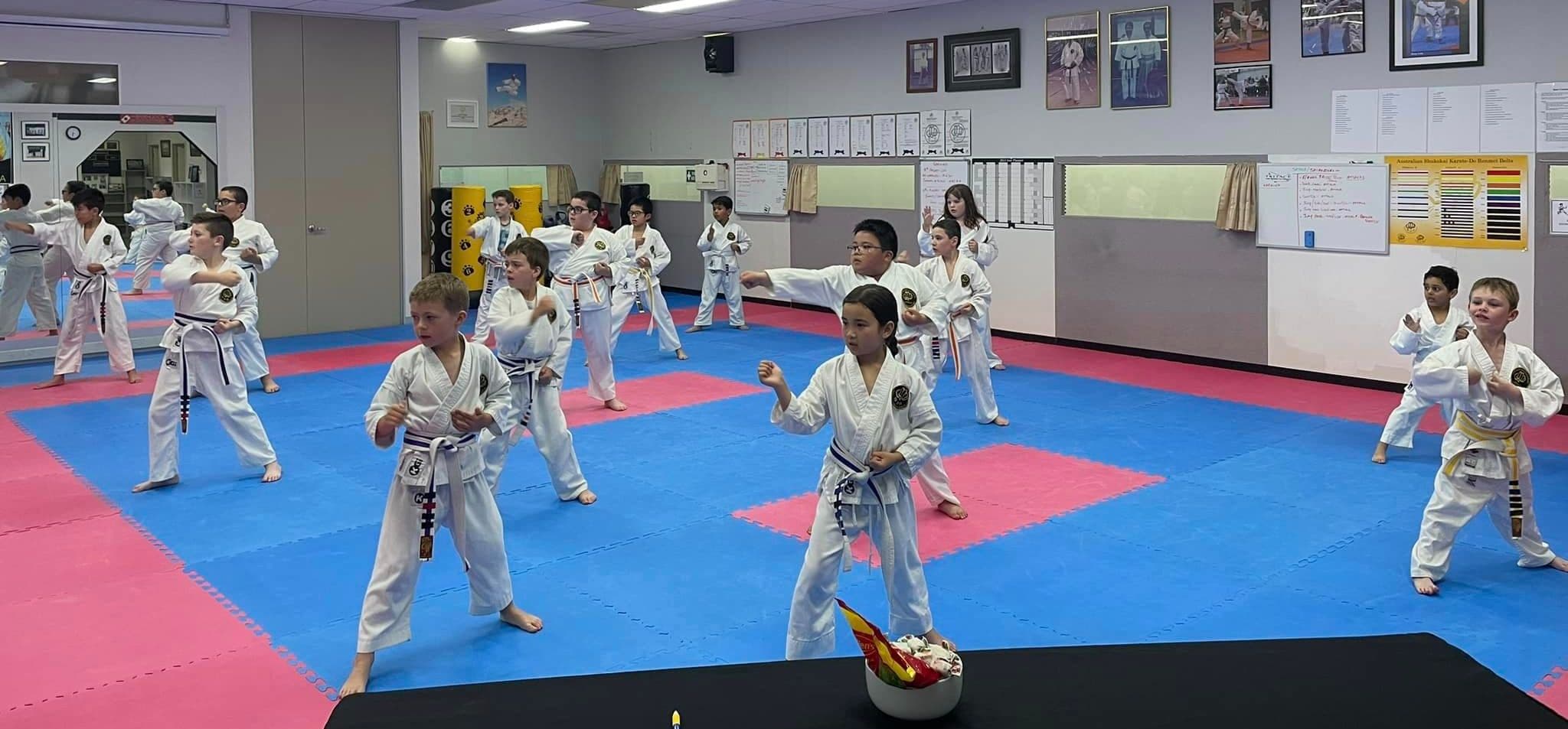 Australian Shukokai Karate Do Renmei Logo on Kidsbook