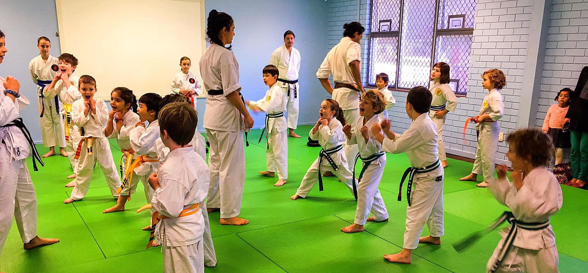 Weststar Martial Arts Logo on Kidsbook