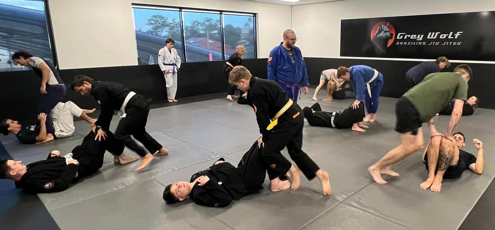 Grey Wolf Brazilian Jiu Jitsu Logo on Kidsbook