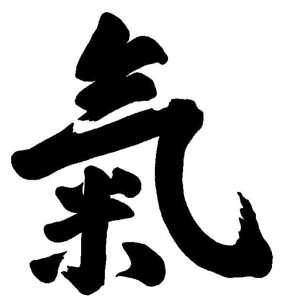 Shinkondo Dojo Logo on Kidsbook