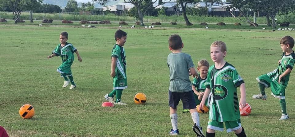 Townsville Warriors Football Club Logo on Kidsbook