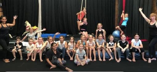 Wild Spirit Aerial Arts Logo on Kidsbook