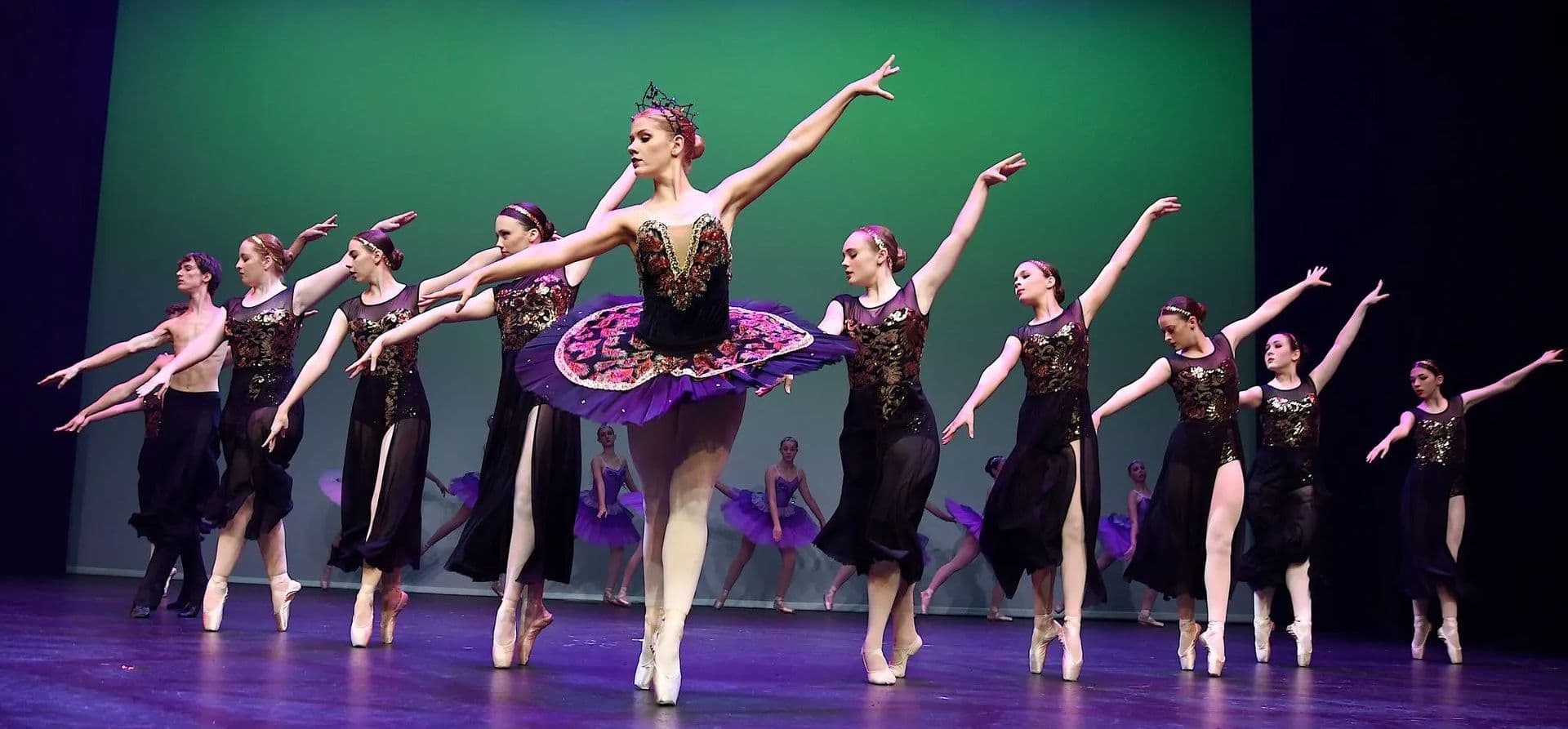 The Ann Roberts School Of Dance Logo on Kidsbook