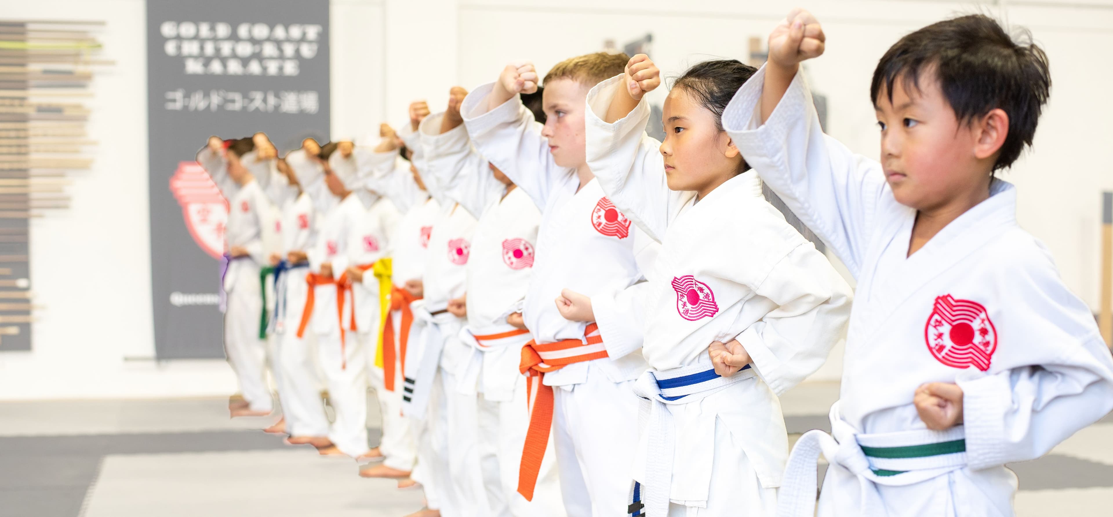 Gold Coast Chito-Ryu Karate Logo on Kidsbook