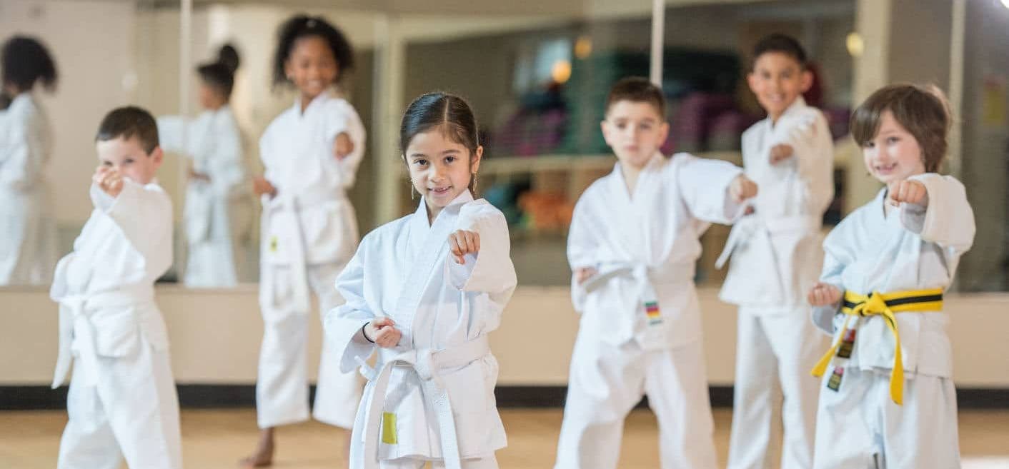Emplify Karate