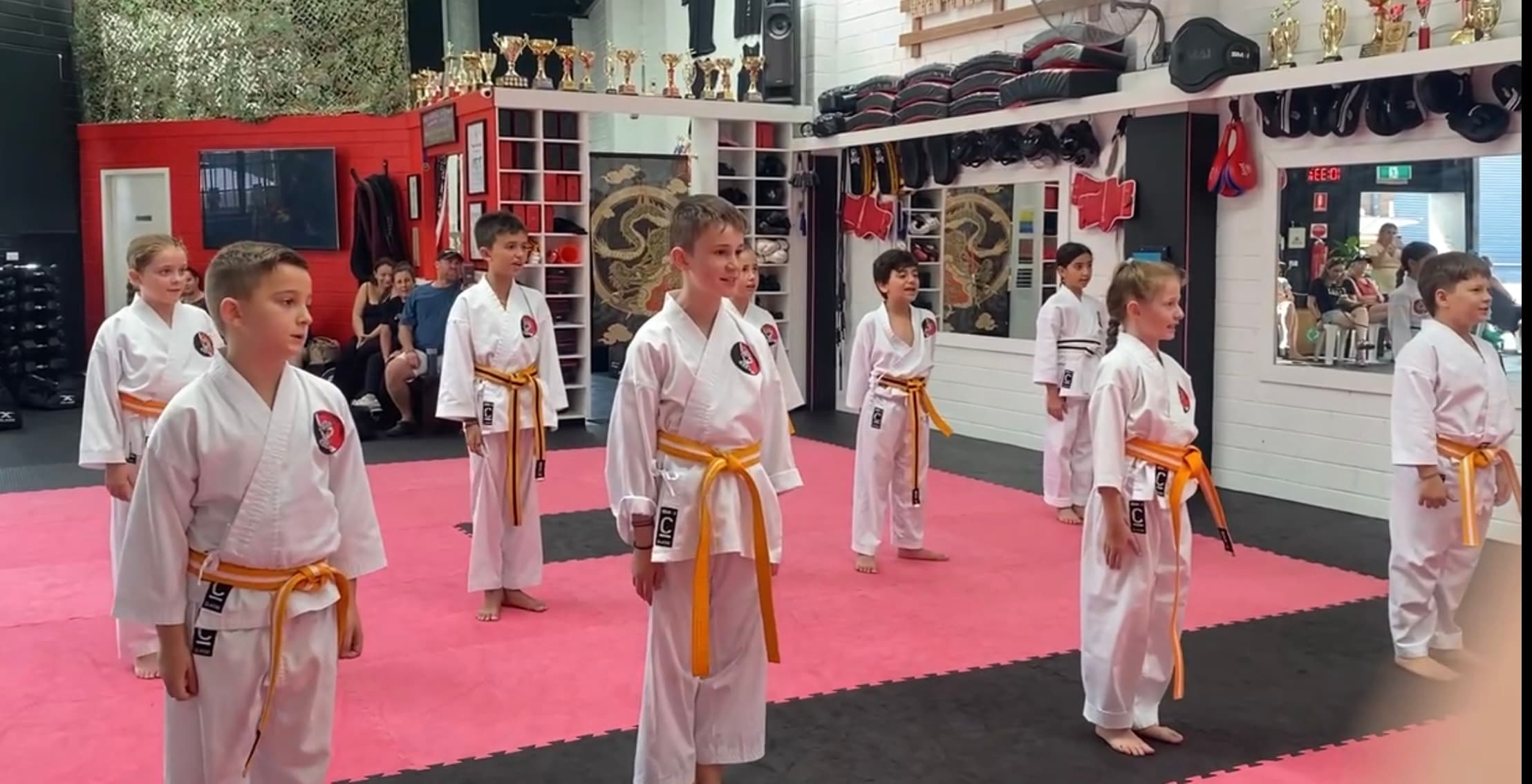 Karate Academy Sydney Logo on Kidsbook